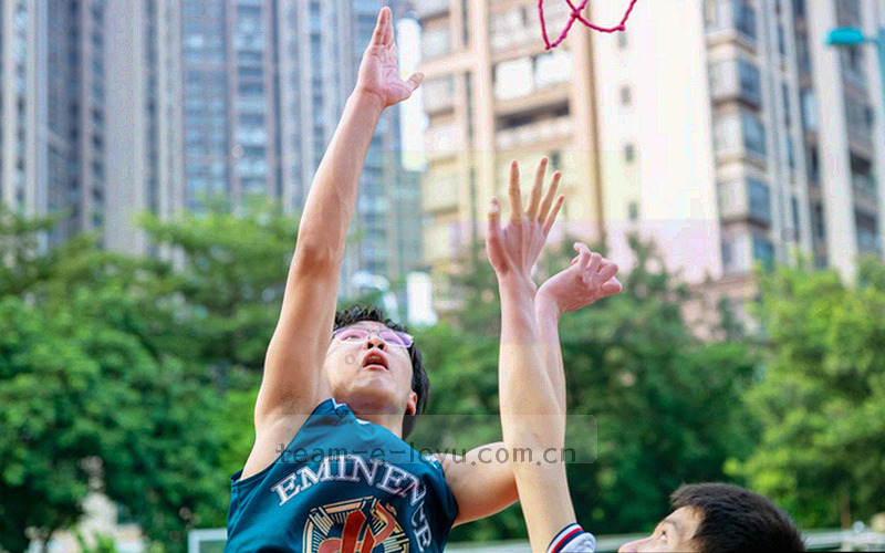 手机屏幕上的乐鱼会员中心界面示意